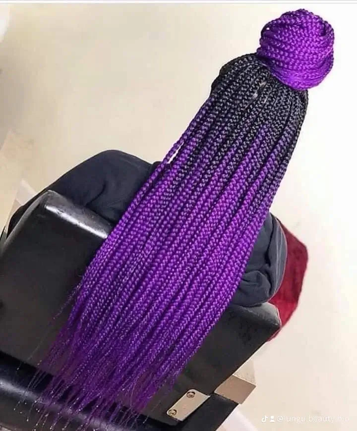 Our Services | Braids & Hair Extensions - Long purple braids styled elegantly in a bun.