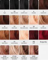 Color chart for Lustrous Hair Extensions featuring various shades, including Extensiones de Medias trenzas 100gr.